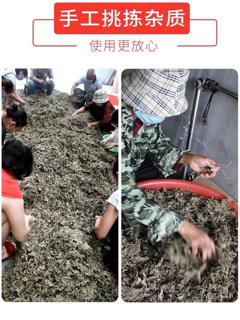 艾叶艾灸泡脚专用产地直销批发各种中药材