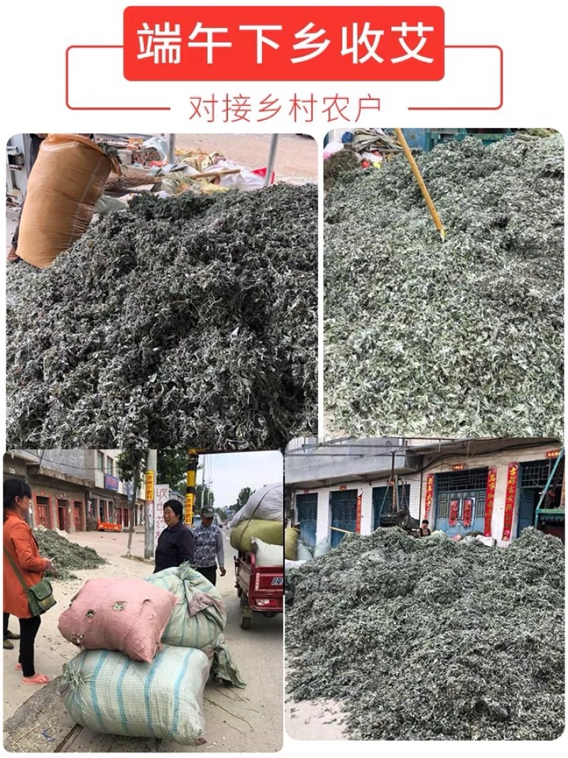 艾叶艾灸泡脚专用产地直销批发各种中药材