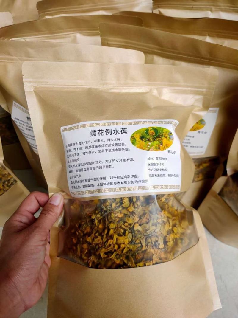 黄花倒水莲花茶