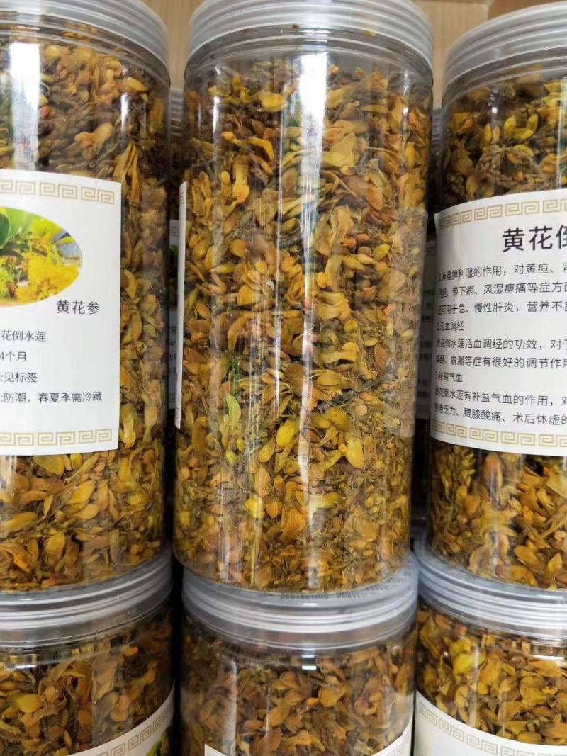 黄花倒水莲花茶