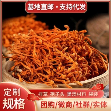 干货批发金虫草蛹虫草地摊货源孢子头煲汤材料