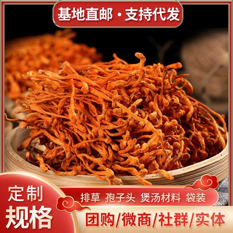 干货批发金虫草蛹虫草地摊货源孢子头煲汤材料