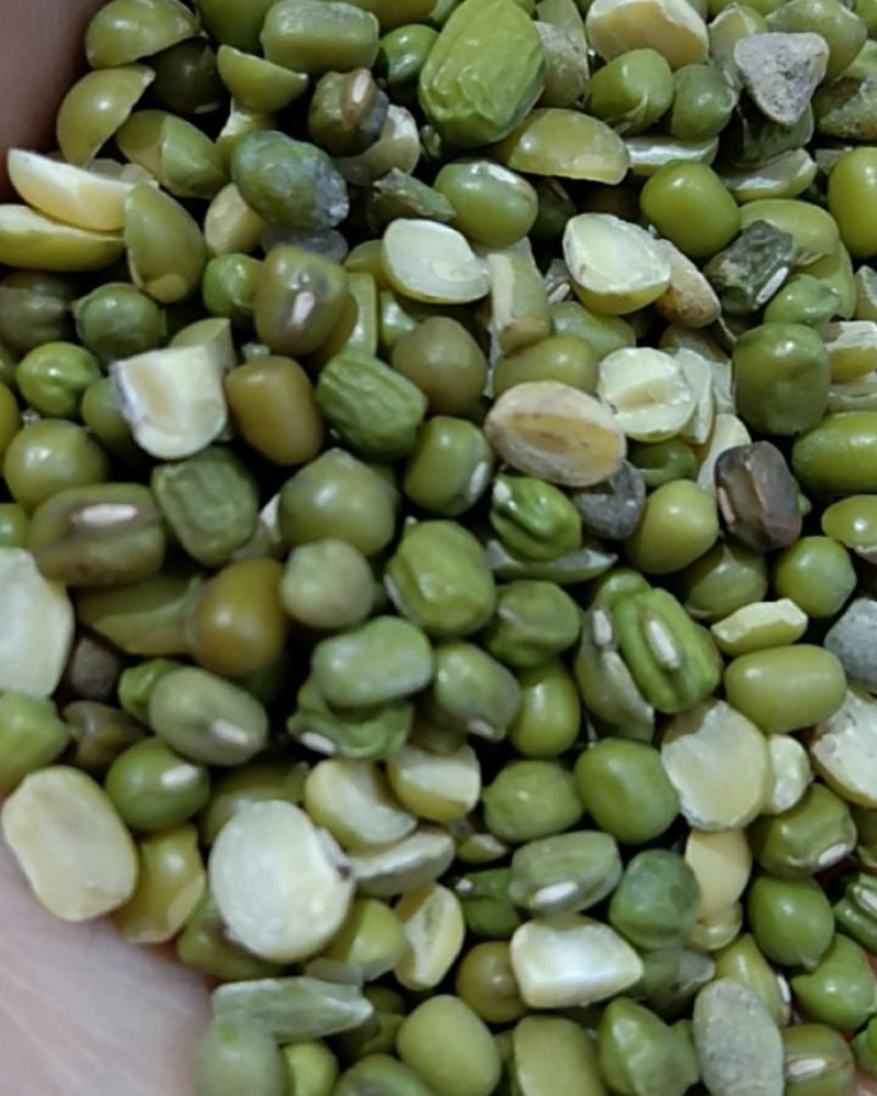 绿豆，磨面小粒