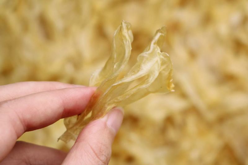 广州人小号竹叶胶平价小鱼胶花胶足干货一件代发批发