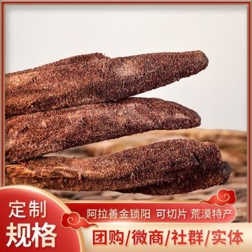 锁阳内蒙古阿拉善中药材批发泡茶可切片整根泡酒