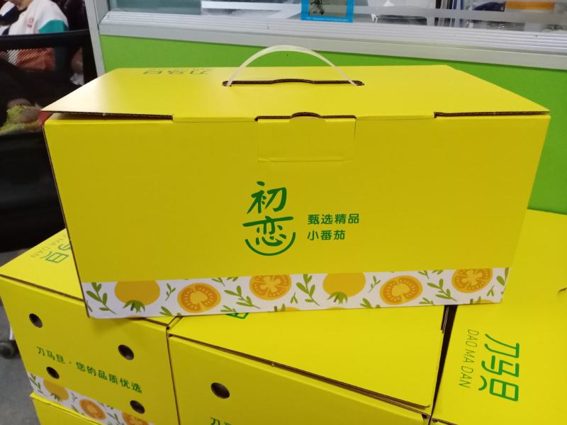 圣女果陕西圣女果产地直发只做精品支持一件代发