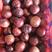 澳洲红李子紫琥珀李子大量上市产地直供优质货源