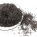 中药材补骨脂新货无硫野生无硫补骨脂500克