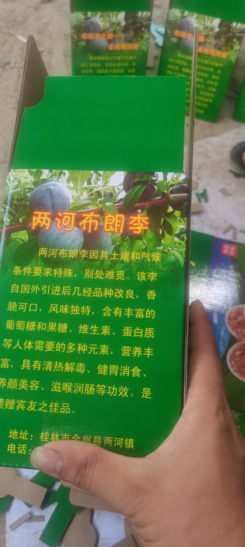 李子