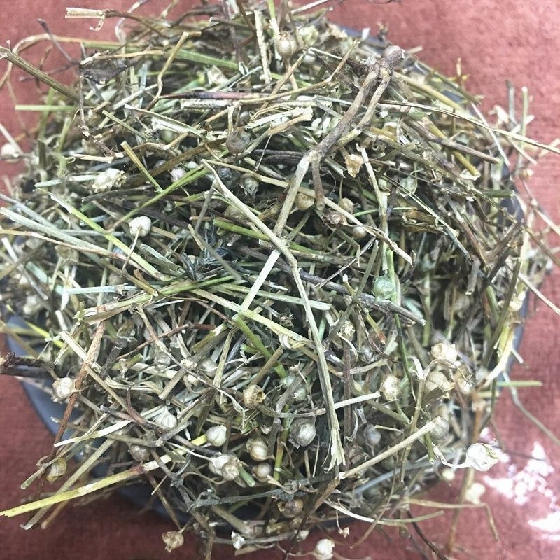 百花蛇舌草广西野生茶500g白花蛇舌草新鲜干货中药材包