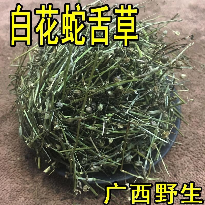 百花蛇舌草广西野生茶500g白花蛇舌草新鲜干货中药材包