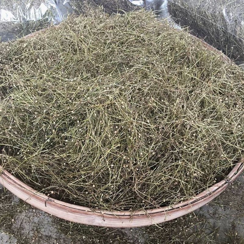 百花蛇舌草广西野生茶500g白花蛇舌草新鲜干货中药材包