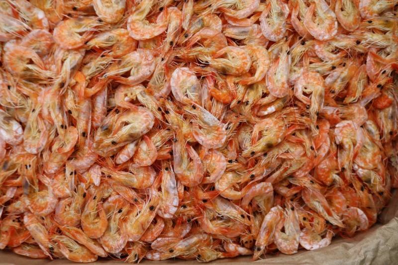 一德路大号即食烤虾干干虾仁干海米干虾米网红零食一件代发