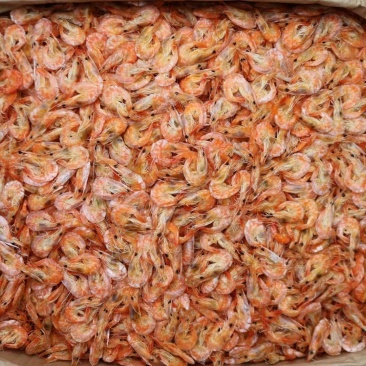 一德路大号即食烤虾干干虾仁干海米干虾米网红零食一件代发