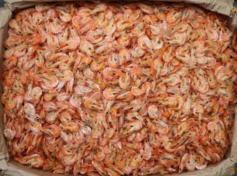 一德路大号即食烤虾干干虾仁干海米干虾米网红零食一件代发