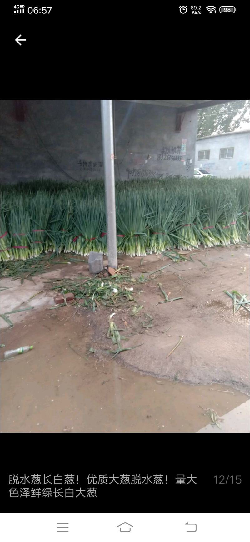 脱水大葱