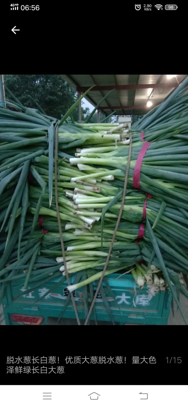 脱水大葱