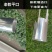 玉米移栽补苗移苗神器移苗器蔬菜取土器打洞器种植栽苗器打孔