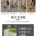 玉米移栽补苗移苗神器移苗器蔬菜取土器打洞器种植栽苗器打孔
