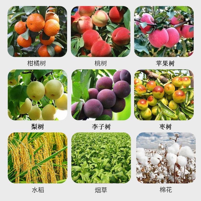 核能牌糖醇钙快速补钙增加果实重量,除锈美果防裂果苦痘痘斑