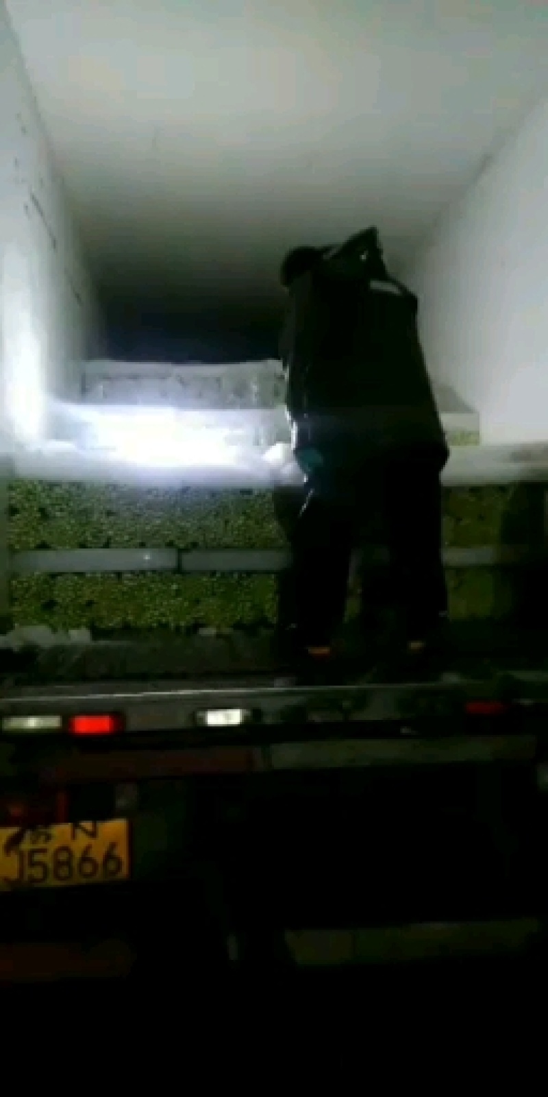 宁夏的冷凉蔬菜