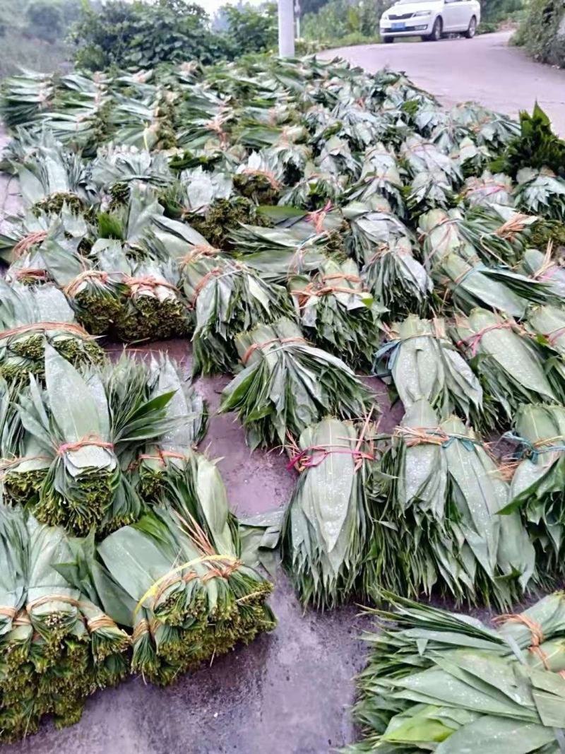 鲜粽叶