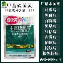 80%甲托水分散果树蔬菜花卉白粉病所有病害广谱通用杀菌剂