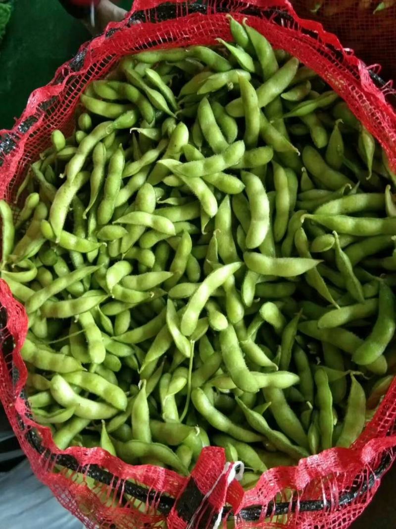 精品毛豆