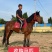 高价回收各种马匹温血马半血马纯血马蒙古马伊犁马