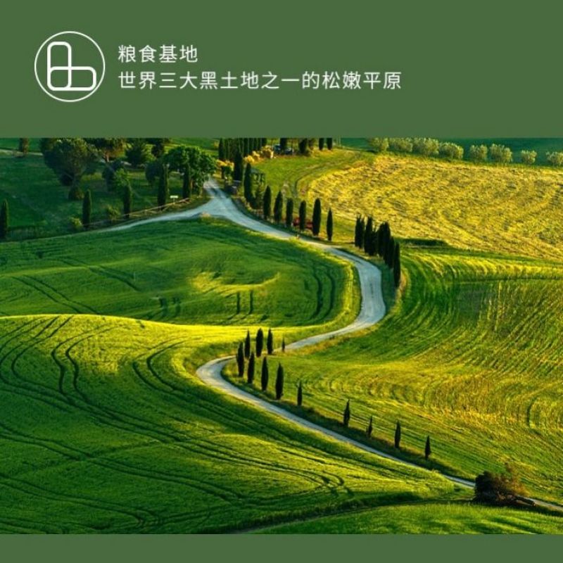 30日营养五谷杂粮组合速食粥早餐粥原材料小包装八宝粥包邮