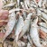马口鱼国宝鱼熟鱼自家加工带油性直接吃当下酒菜一手货源不包