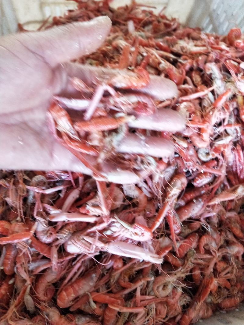 爪虾勾虾立虾新货质量杠杠的当季刚下船的货一手货源不包邮