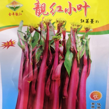 【选购链接】红菜苔种子中早熟耐寒小叶高产苔质鲜嫩味美