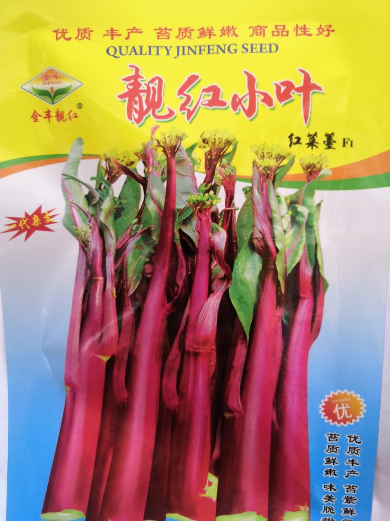 【选购链接】红菜苔种子中早熟耐寒小叶高产苔质鲜嫩味美