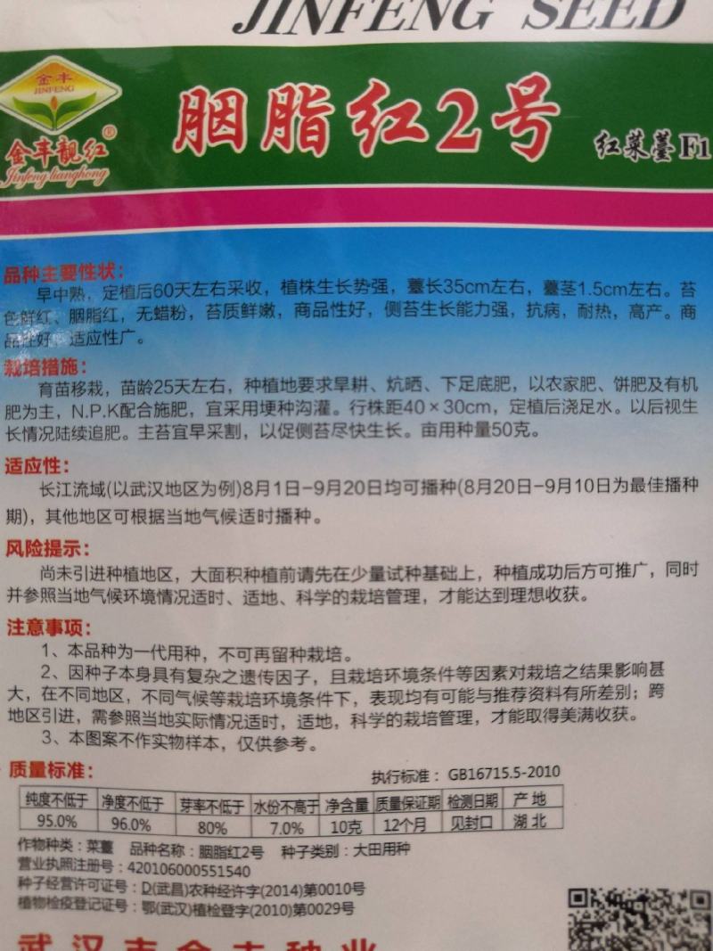 【选购链接】红菜苔种子中早熟耐寒小叶高产苔质鲜嫩味美