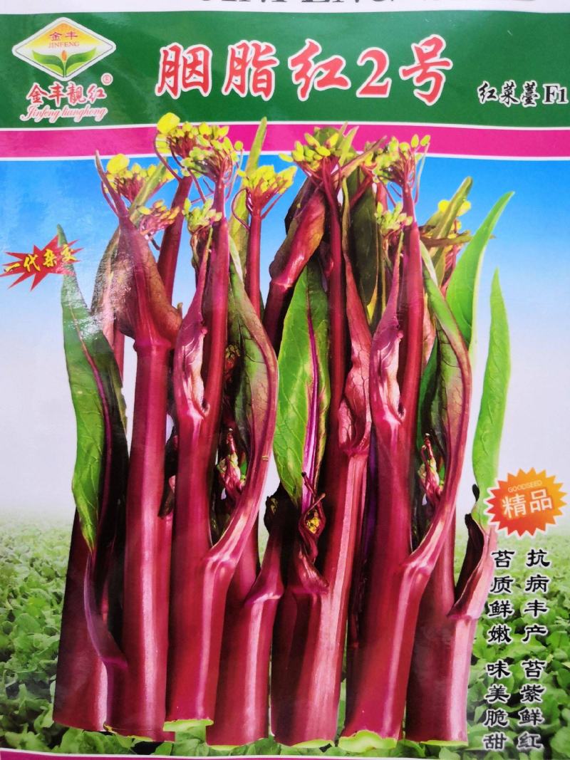 【选购链接】红菜苔种子中早熟耐寒小叶高产苔质鲜嫩味美