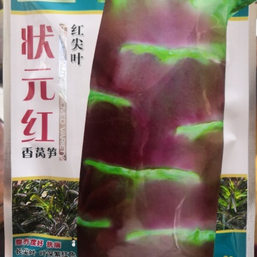 耐寒红尖叶莴笋种子抗病高产脆嫩香莴笋种子