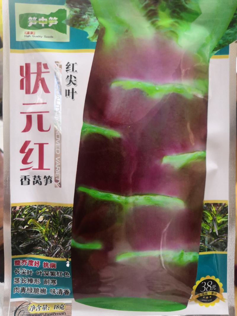 耐寒红尖叶莴笋种子抗病高产脆嫩香莴笋种子