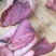 酱香牛肉猪肉卤肉腱子肉真空包装一斤装