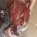 酱香牛肉猪肉卤肉腱子肉真空包装一斤装