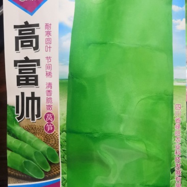 耐寒圆叶青莴笋种子三青皮绿皮绿肉莴笋清香脆嫩