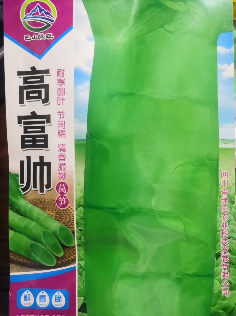 耐寒圆叶青莴笋种子三青皮绿皮绿肉莴笋清香脆嫩