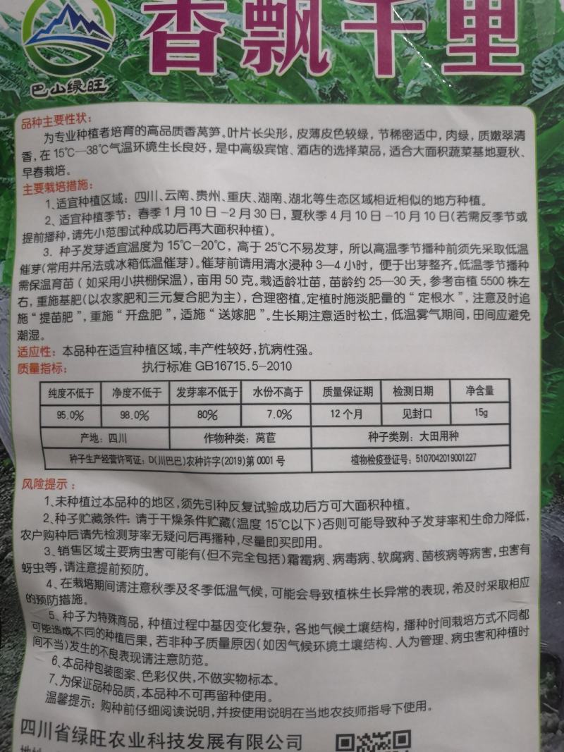 耐高温莴笋种子耐高温40度生长良好长尖叶三青皮莴笋