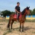 马匹出售景区骑乘马可以骑的马景区拉车马蒙古马孩子骑的小矮