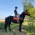 马匹出售景区骑乘马可以骑的马景区拉车马蒙古马孩子骑的小矮