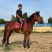 马匹出售景区骑乘马可以骑的马景区拉车马蒙古马孩子骑的小矮