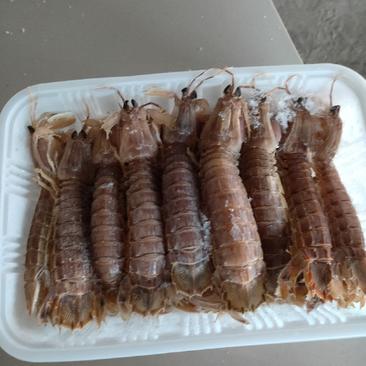 熟冻皮皮虾，一盒一斤装，回去解冻就能吃
