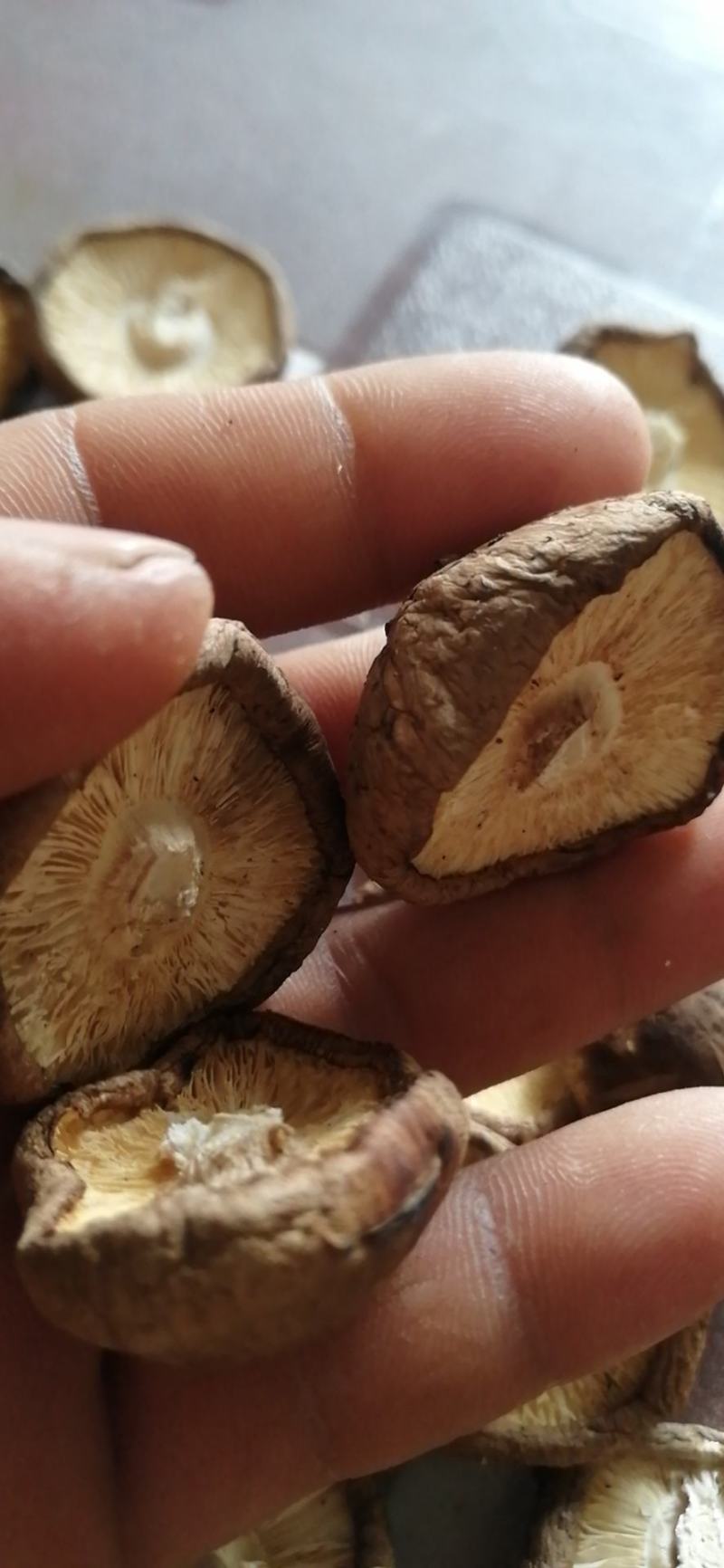 干香菇香菇挖剪腿不超5毫米产区基地直供精挑细选各种规格