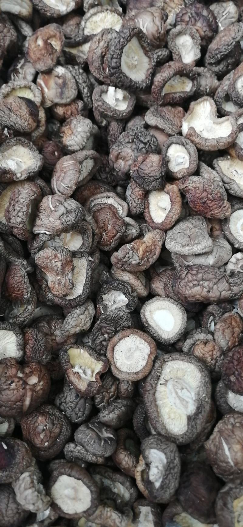 干香菇香菇挖剪腿不超5毫米产区基地直供精挑细选各种规格