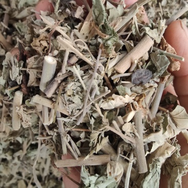 中药材磨盘草新货响耳草